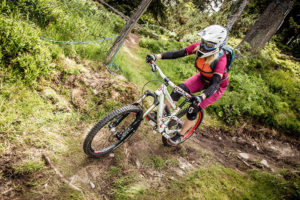 Mountain biker rides on a forest path