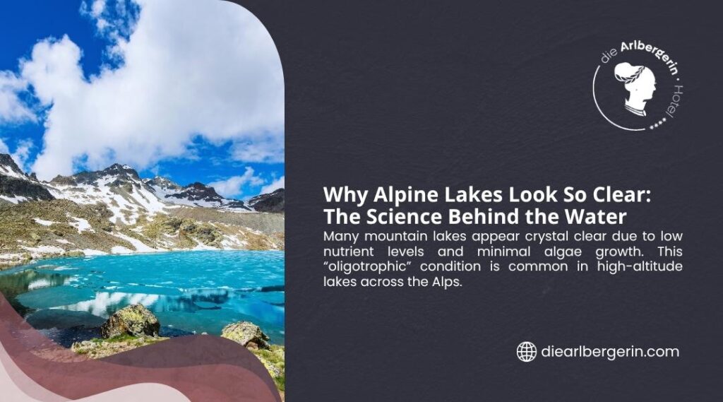 Crystal clear turquoise alpine lake surrounded by snowy peaks, its clarity explained by low nutrients and minimal algae growth.
