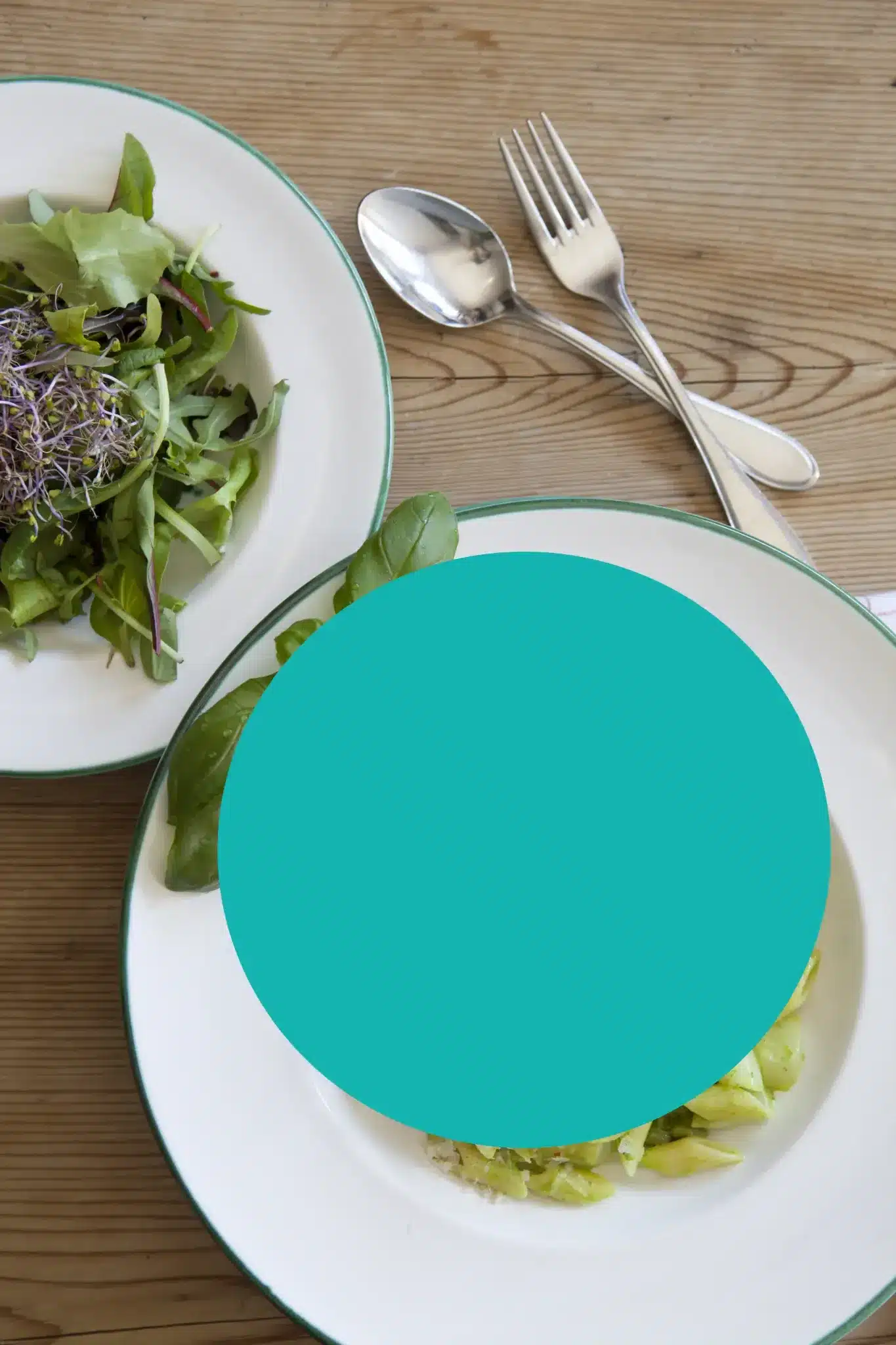 Startseite 24 Fresh green salad and pasta on enamel plates