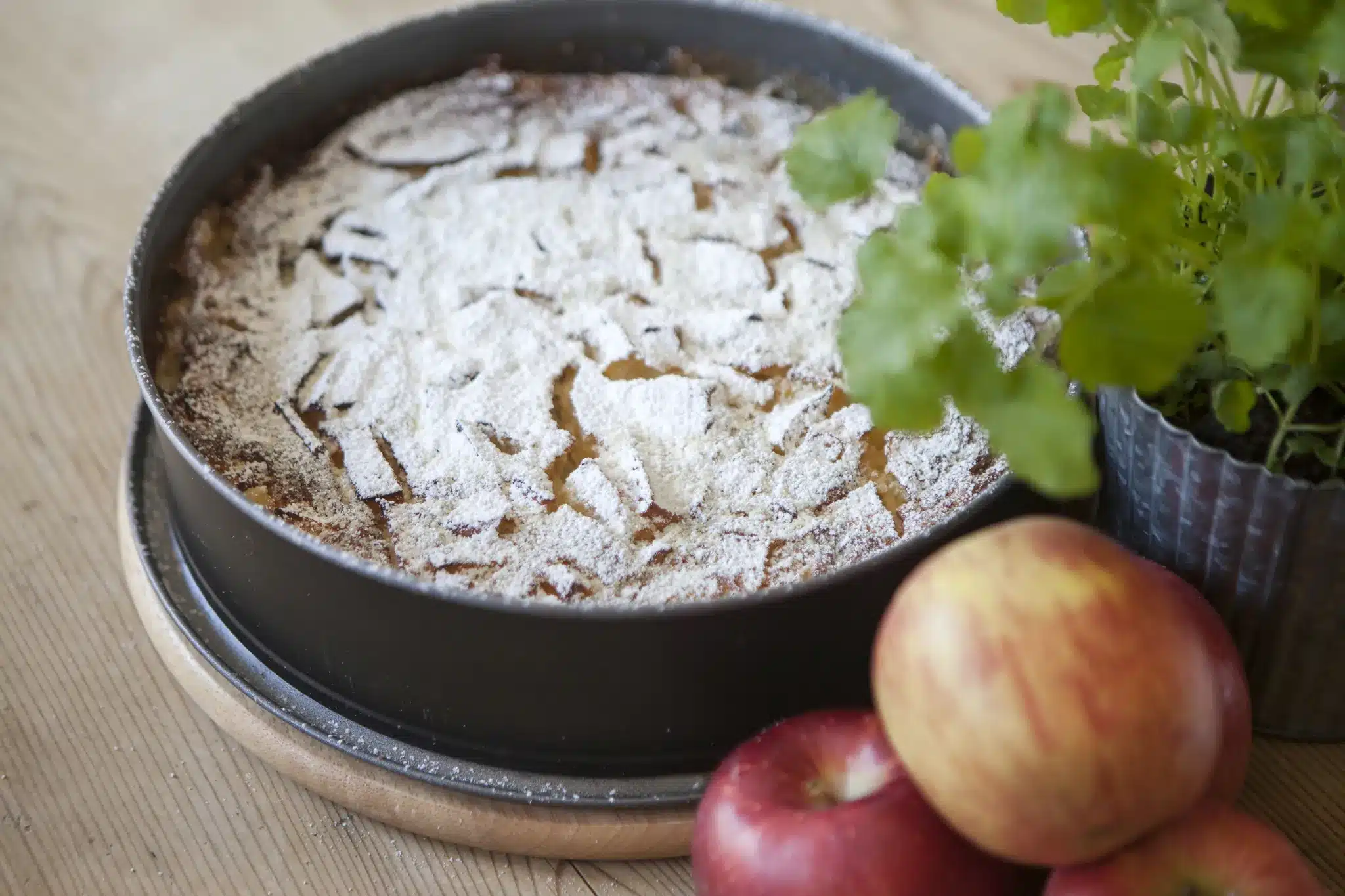Startseite 49 Homemade apple cake dusted with icing sugar next to fresh apples
